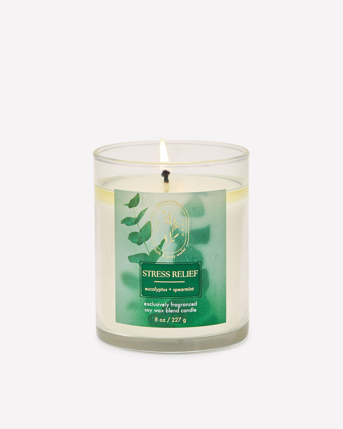 Bath & Body Works Eucalyptus Spearmint Single Wick Candle 8 oz / 227 g — image 1
