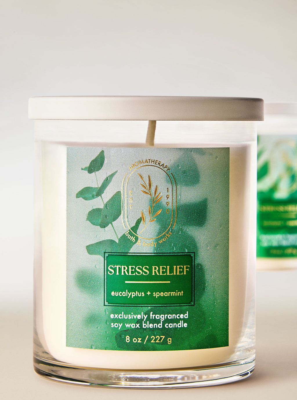 Bath & Body Works Eucalyptus Spearmint Single Wick Candle 8 oz / 227 g — image 2