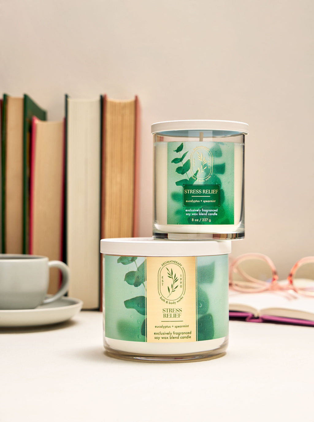 Bath & Body Works Eucalyptus Spearmint Single Wick Candle 8 oz / 227 g — image 5