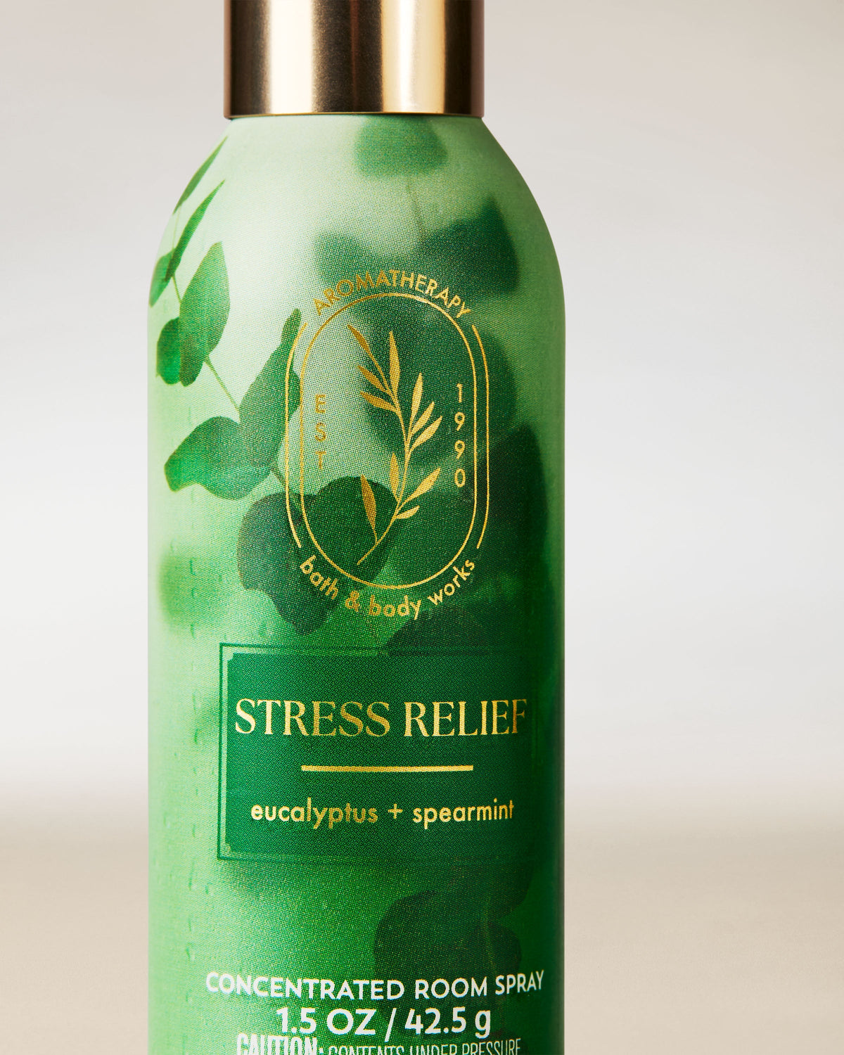 Bath & Body Works Eucalyptus Spearmint Concentrated Room Spray 1.5 oz / 42.5 g — image 2