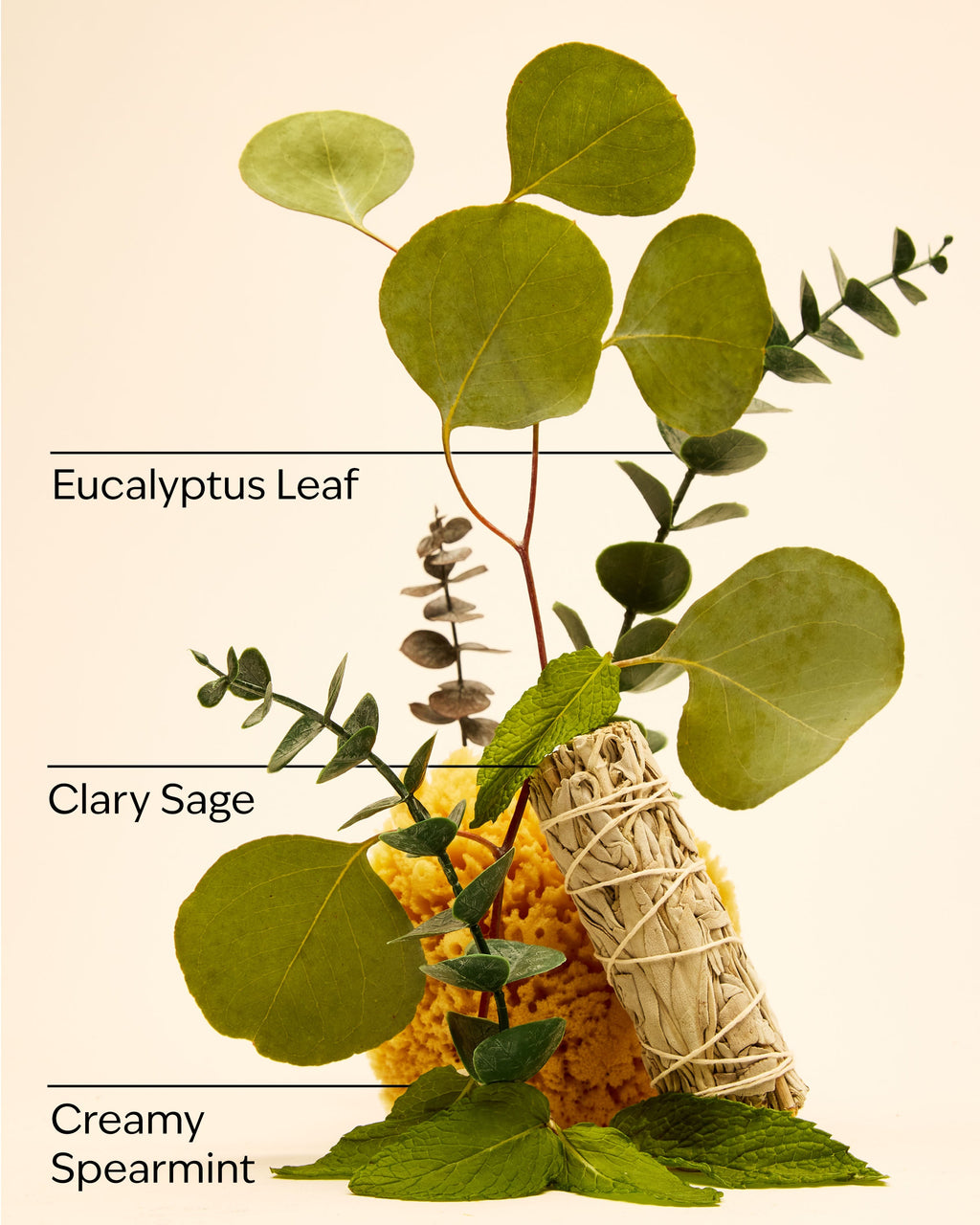 Bath & Body Works Eucalyptus Spearmint Concentrated Room Spray 1.5 oz / 42.5 g — image 3
