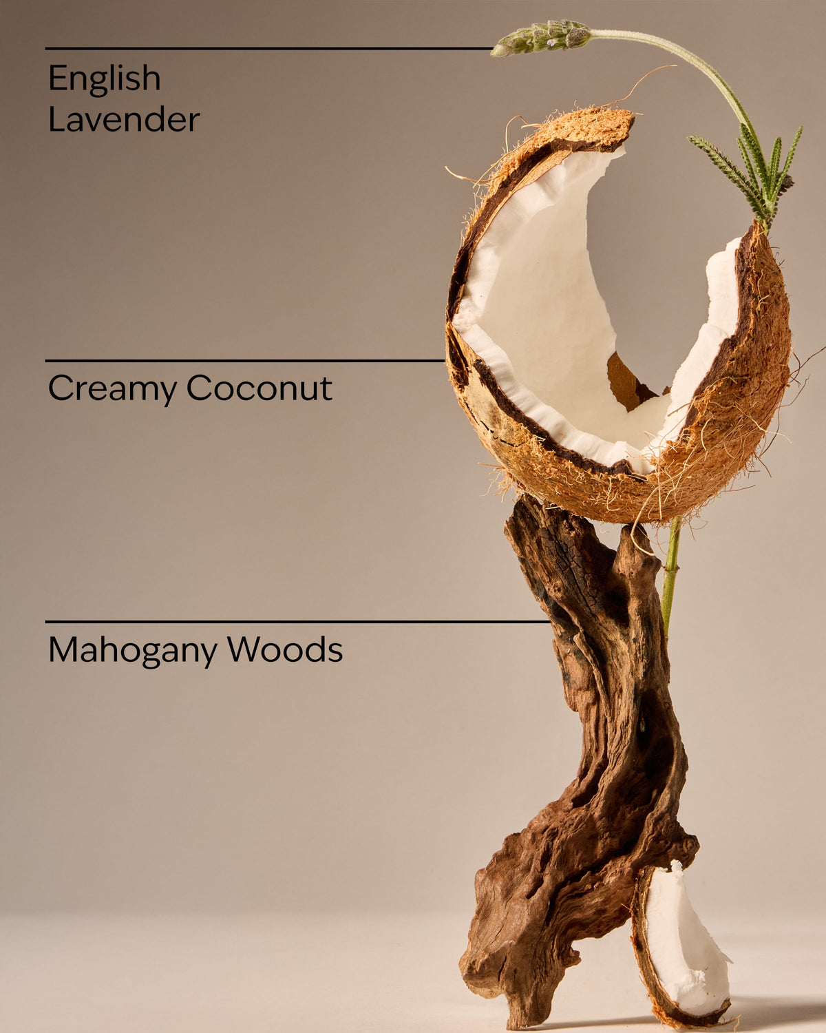Bath & Body Works Mahogany Coconut Single Wick Candle 8 oz / 227 g — image 3