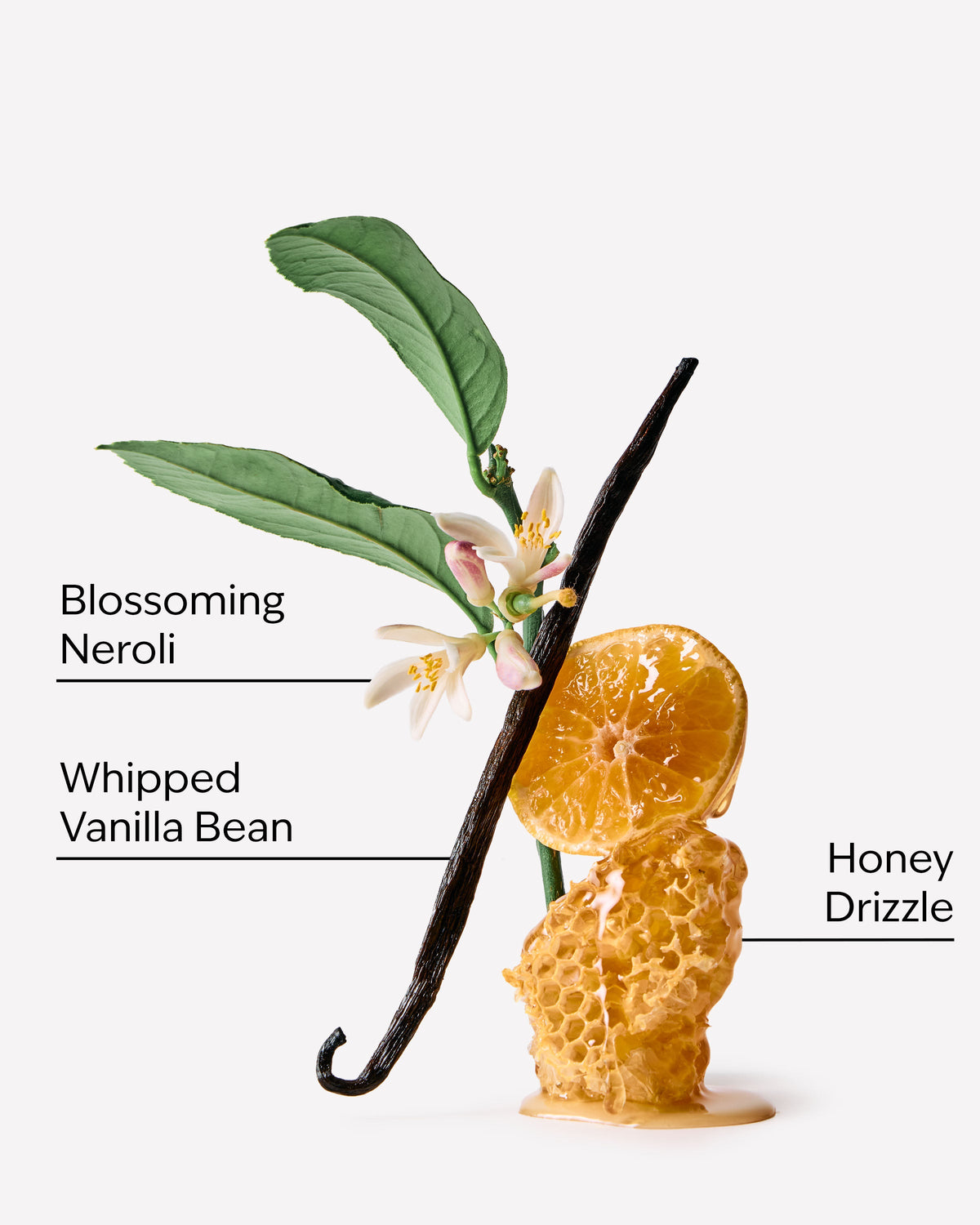 Bath & Body Works Whipped Honey & Vanilla Ultimate Hydration Body Cream 8 oz / 226 g — image 3