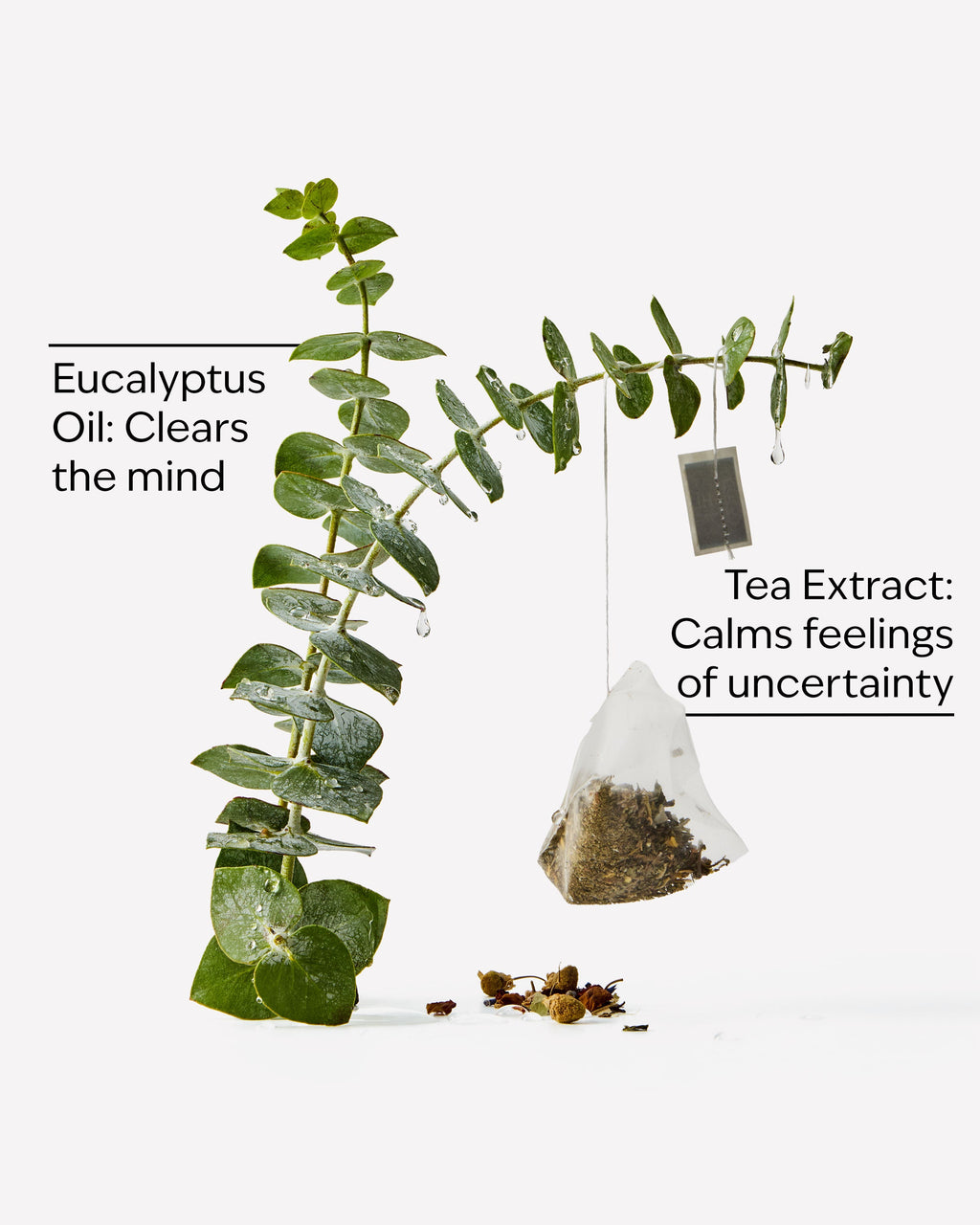 Bath & Body Works Eucalyptus Tea Ultimate Hydration Body Cream 8 oz / 226 g — image 3