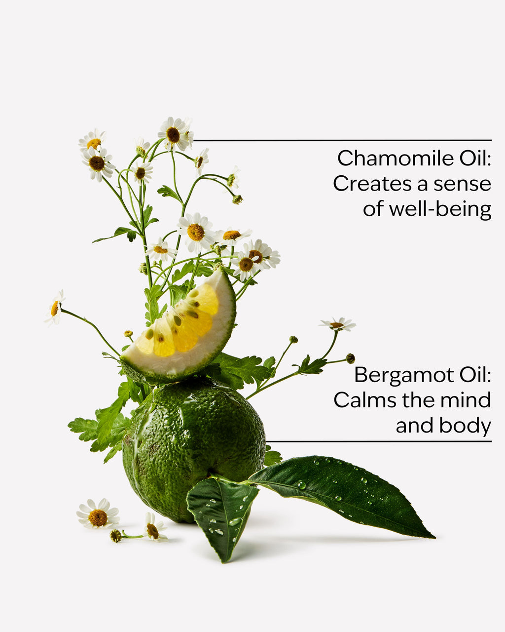 Bath & Body Works Black Chamomile Ultimate Hydration Body Cream 8 oz / 226 g — image 3