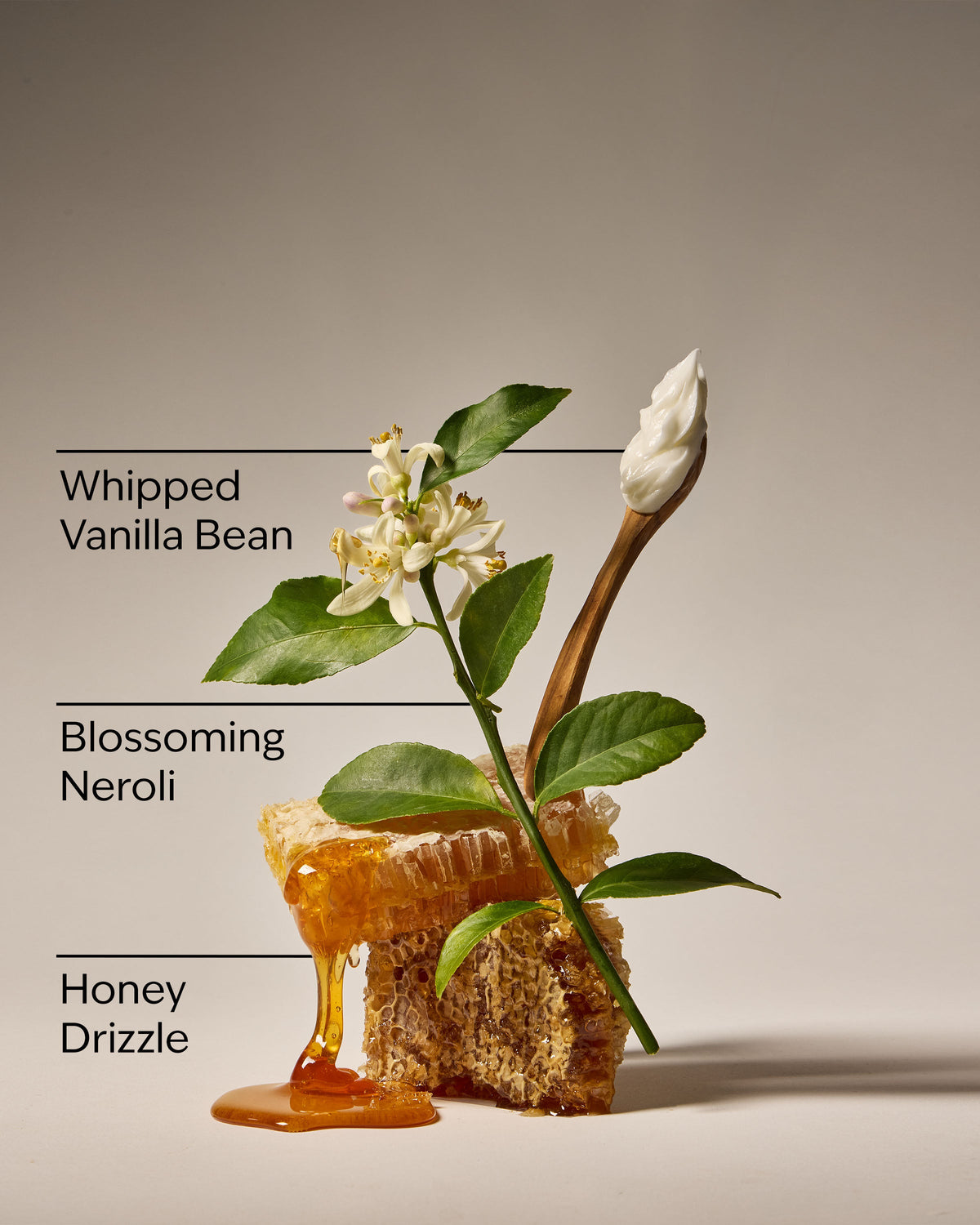 Bath & Body Works Whipped Honey & Vanilla Concentrated Room Spray 1.5 oz / 42.5 g — image 2