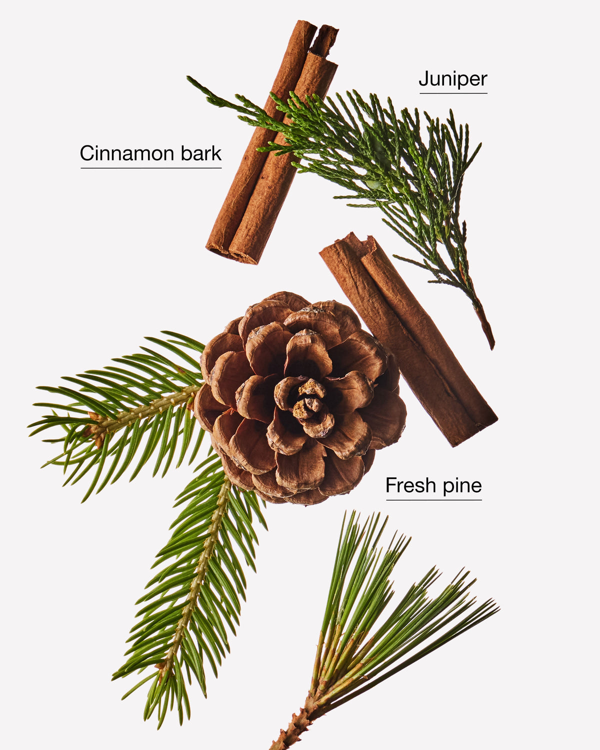 Bath & Body Works Cinnamon Pinecone Single Wick Candle 8 oz / 227 g — image 3