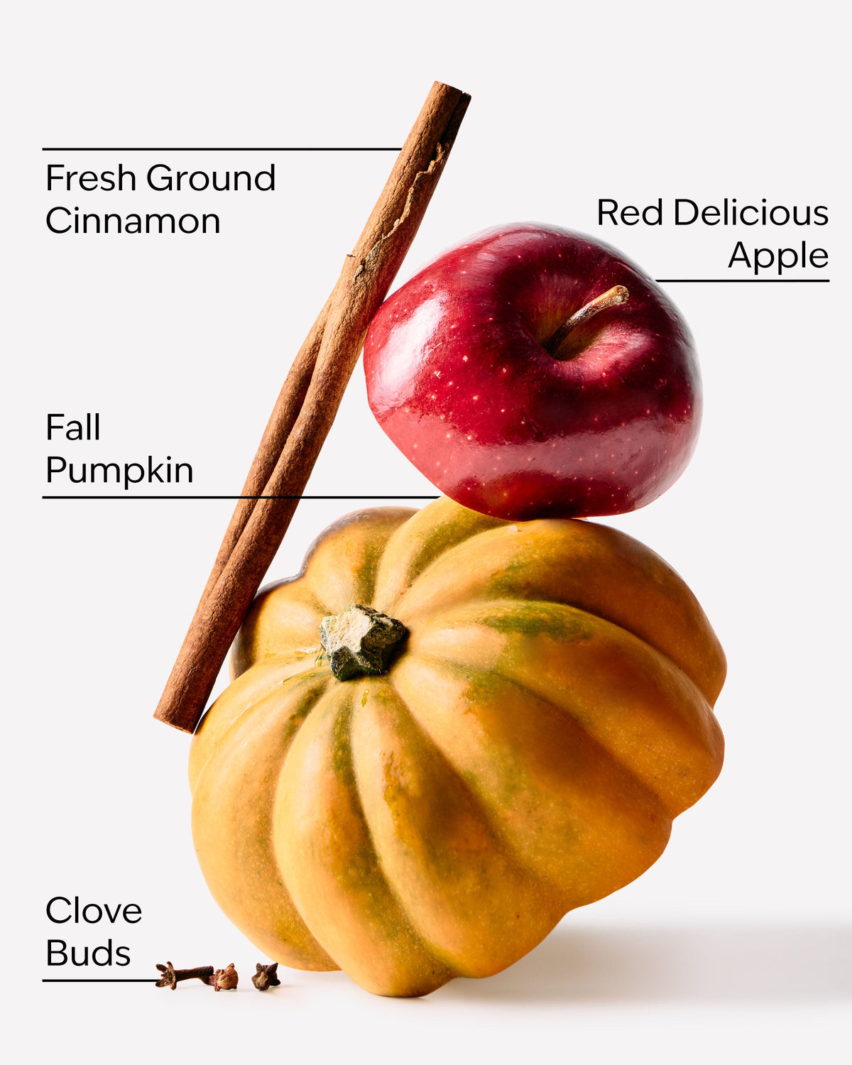 Bath & Body Works Pumpkin Apple Single Wick Candle 8 oz / 227 g — image 3