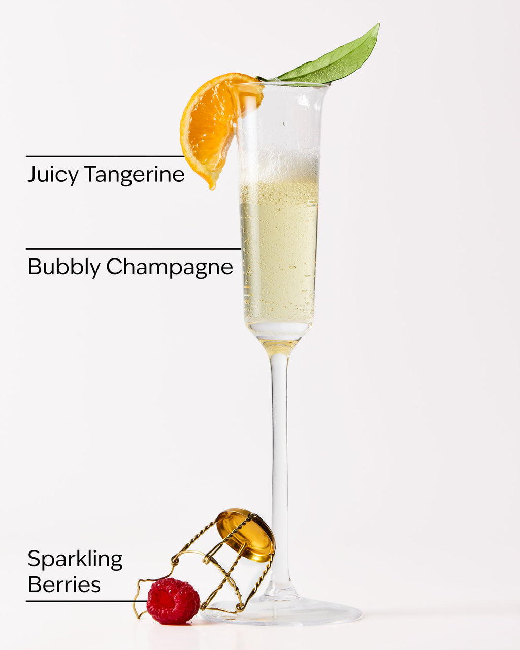 Champagne Toast Hanging Fragrance Diffuser, 2.5 g, official product view 2