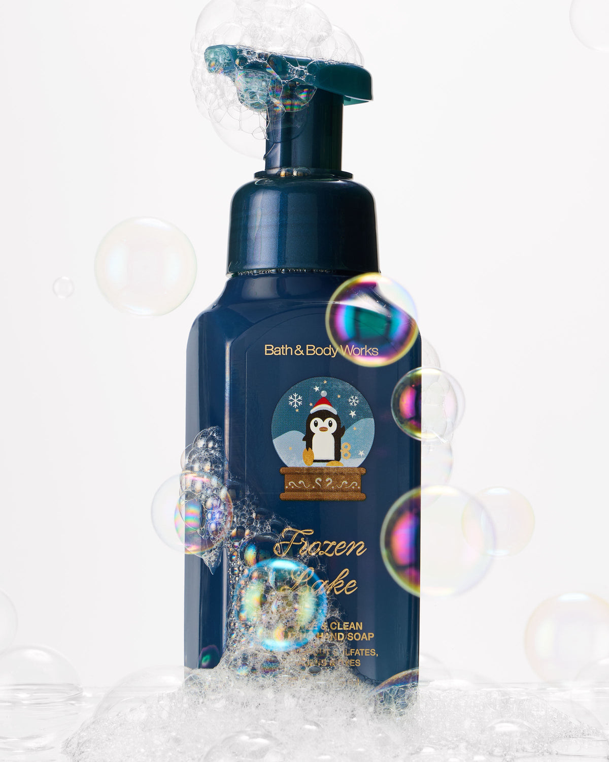 Frozen Lake Gentle & Clean Foaming Hand Soap, 8.75 fl oz / 259 ml, official product view 2