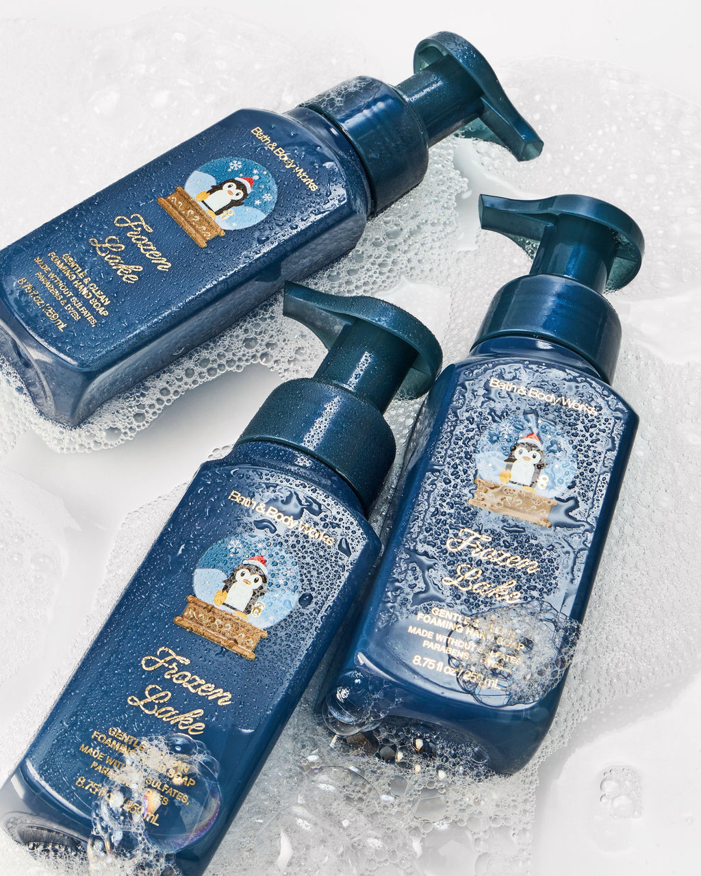Frozen Lake Gentle & Clean Foaming Hand Soap, 8.75 fl oz / 259 ml, official product view 4