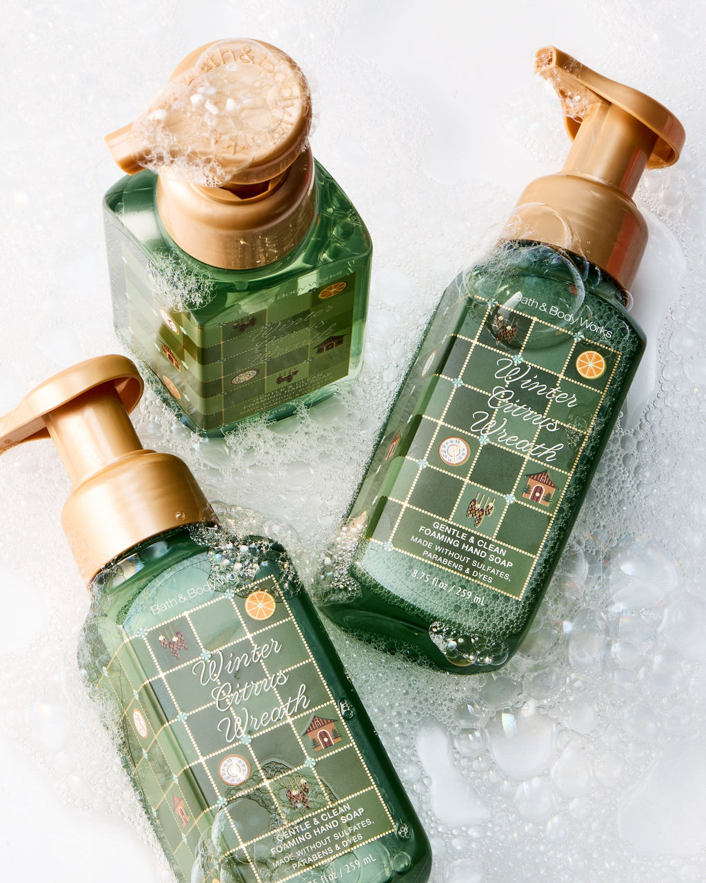 Winter Citrus Wreath Gentle & Clean Foaming Hand Soap, 8.75 fl oz / 259 ml, official product view 4